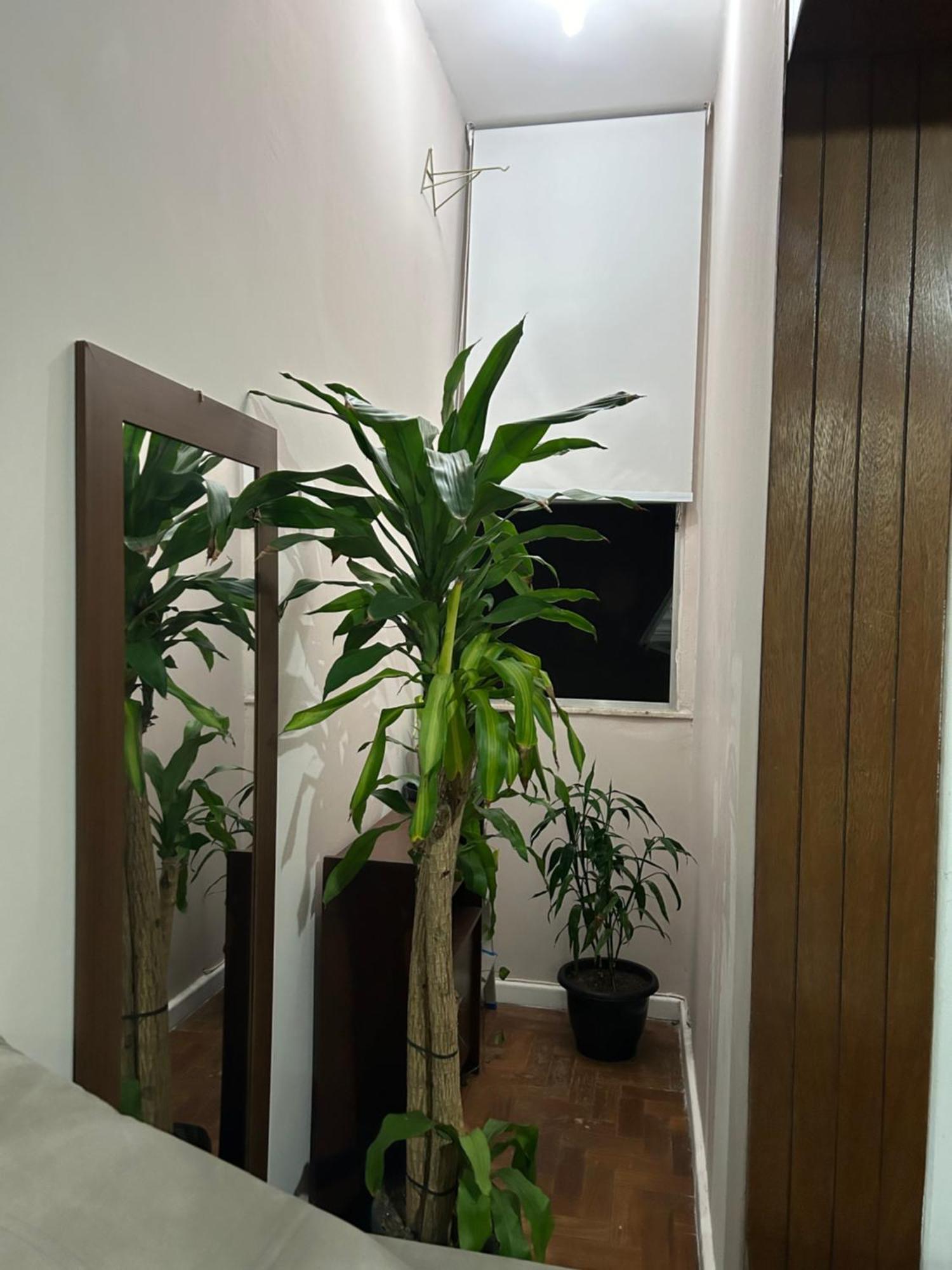 Bali Leme Apartamento